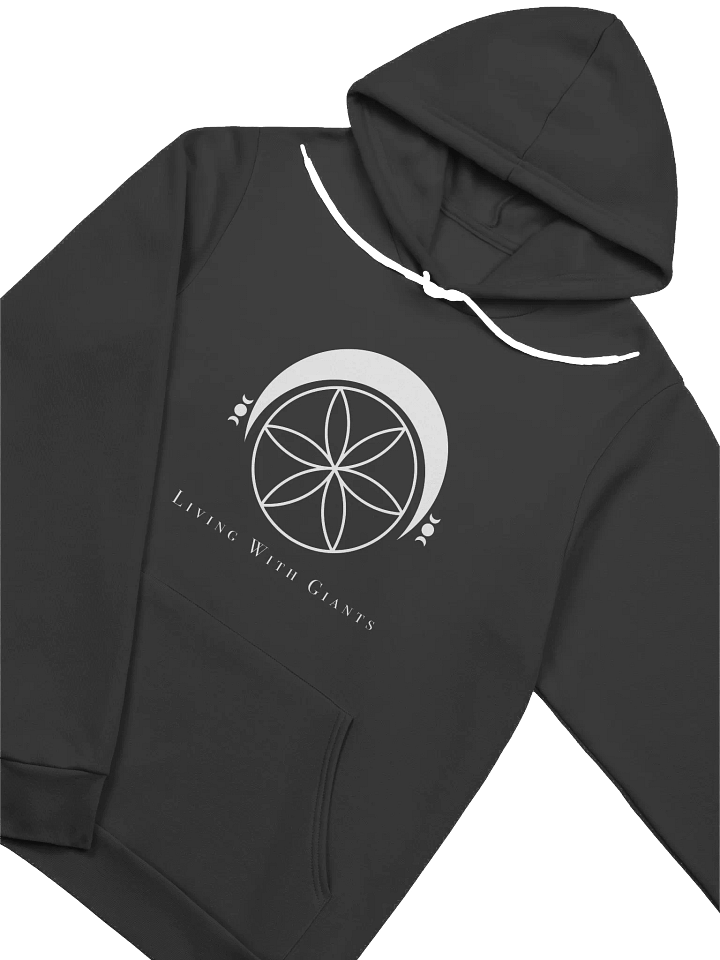 Logo Hoodie product image (2)