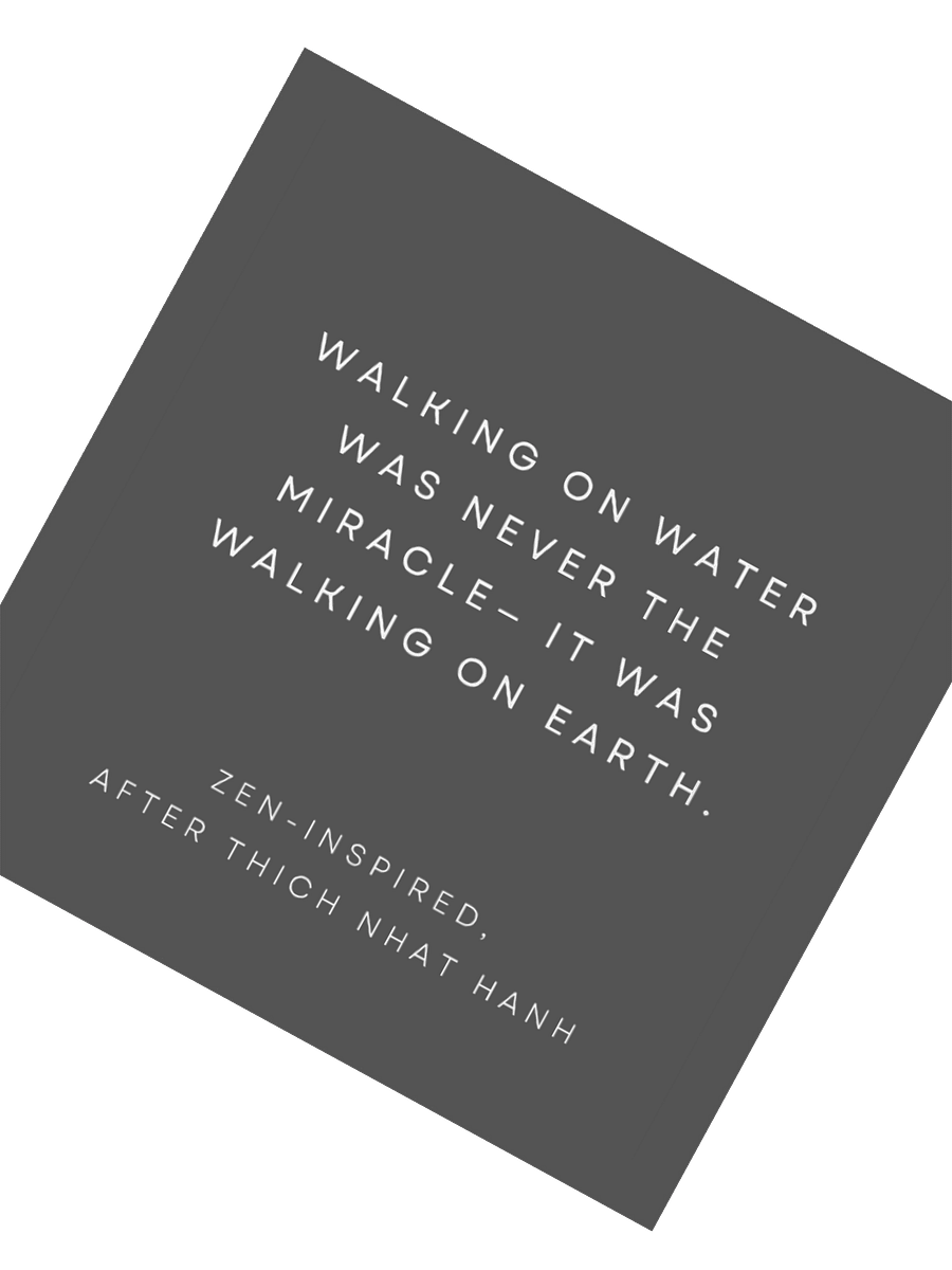 Walking On Earth. product image (2)