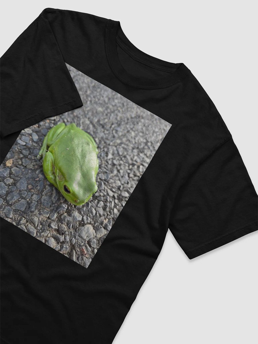 Frog on the road product image (3)