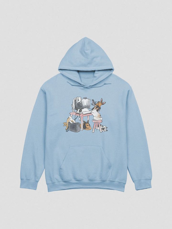 Bunny Hoodie! product image (1)