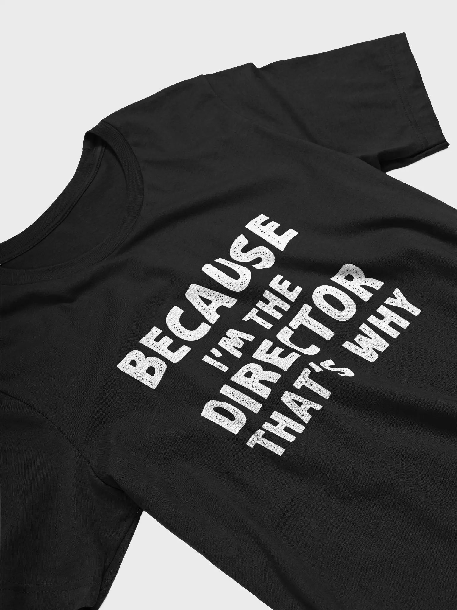 Because I'm the Director, That’s Why! T-Shirt | Funny Theater & Film Director Tee product image (3)