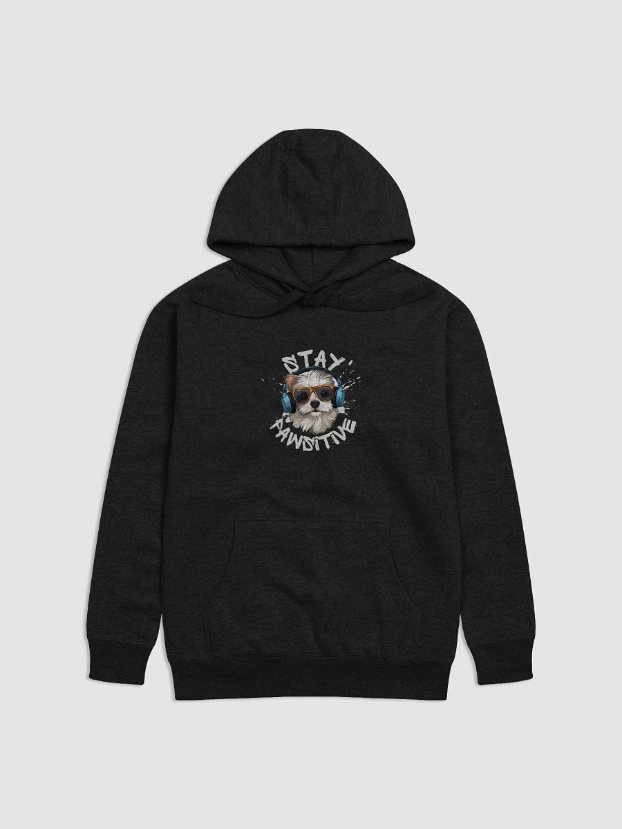 Pawsitive Vibes Hoodie product image (2)