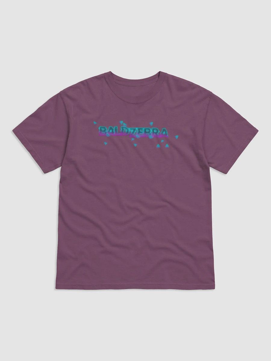 BaldZebra 2024 Concert T product image (5)