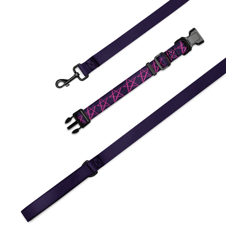 Nebula Pet Collar & Leash Set product image (1)