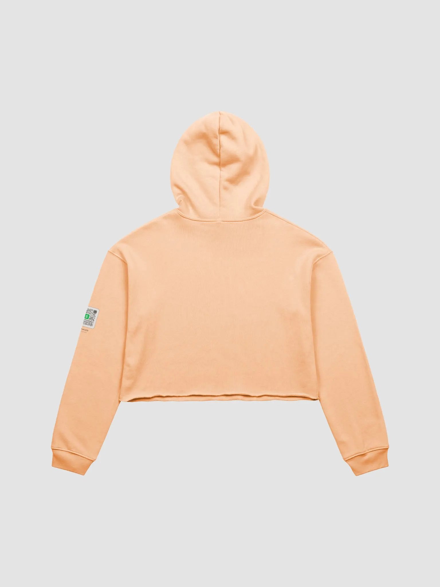 Education Station Crop Top Women's Hoodie product image (2)