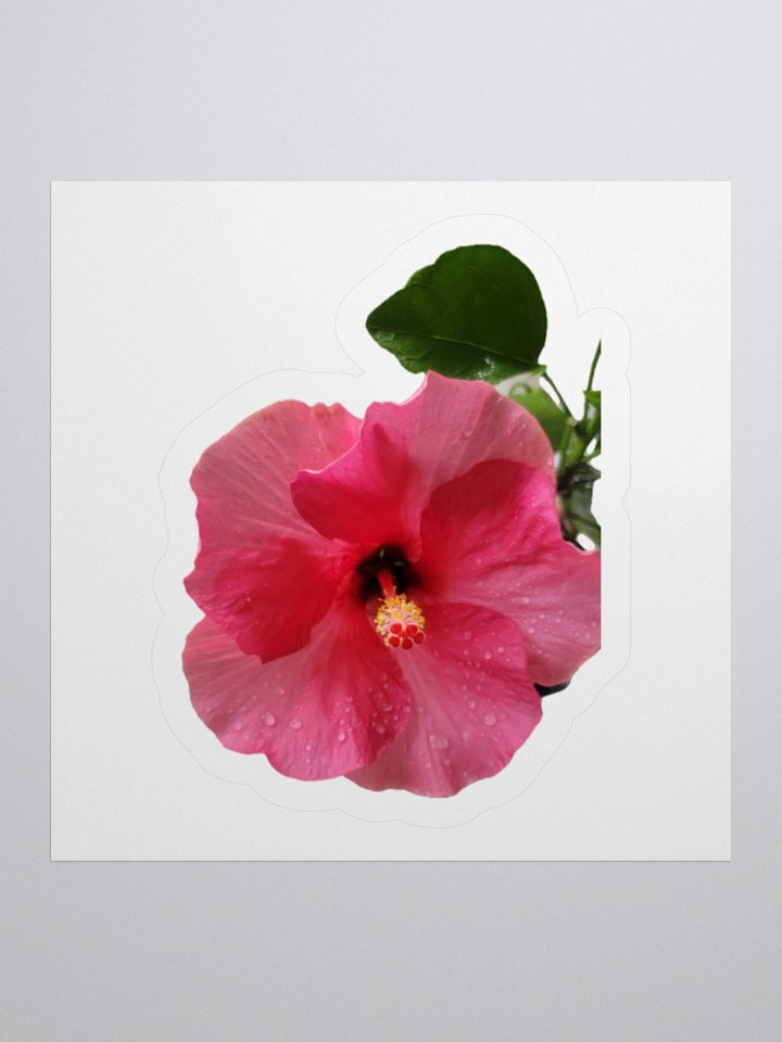 Flower Stickers v2 product image (3)