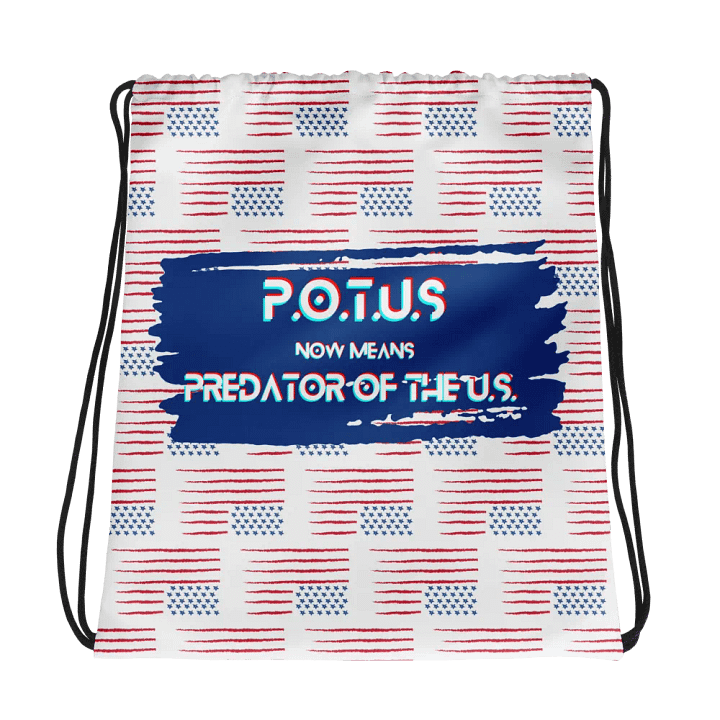 Resistors, What POTUS Now Means, Knapsack product image (1)