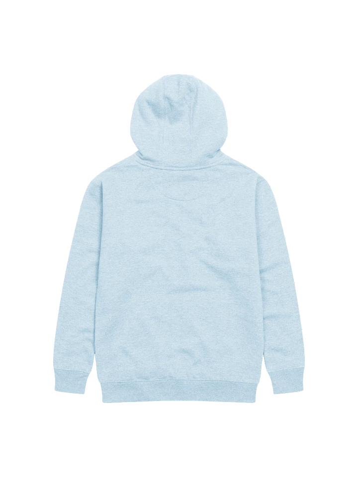 Shape the Future Hoodie product image (2)