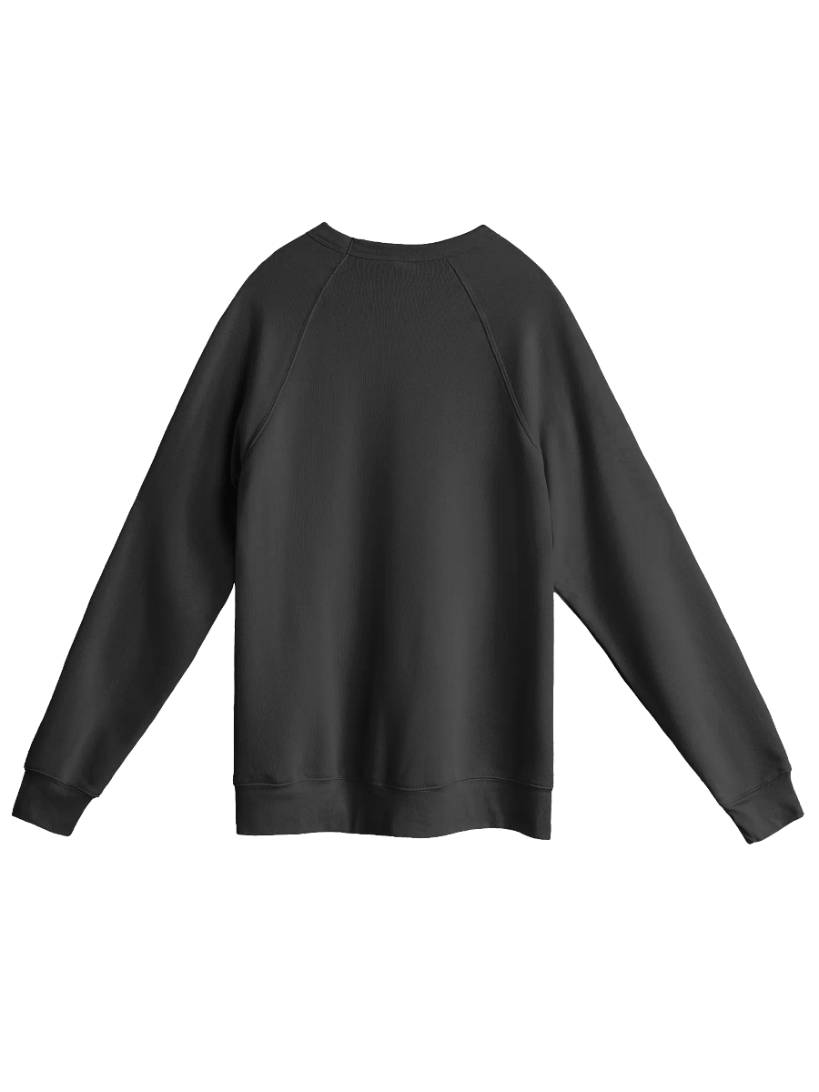 Chakuza Sponge Fleece Raglan Sweatshirt product image (6)