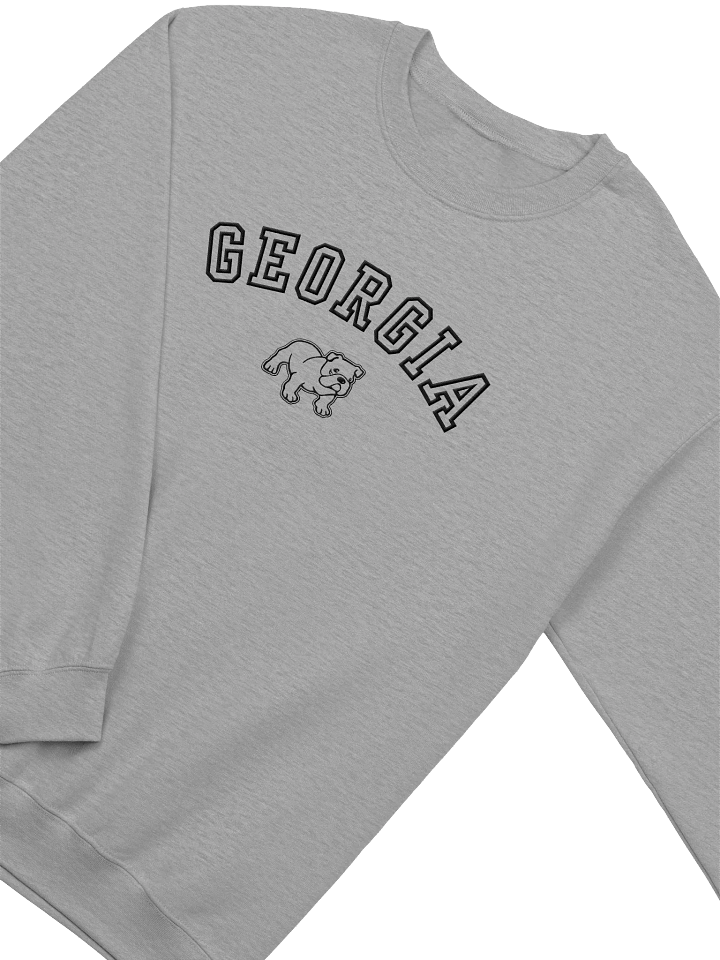 Embroidered Georgia Sweatshirt product image (3)