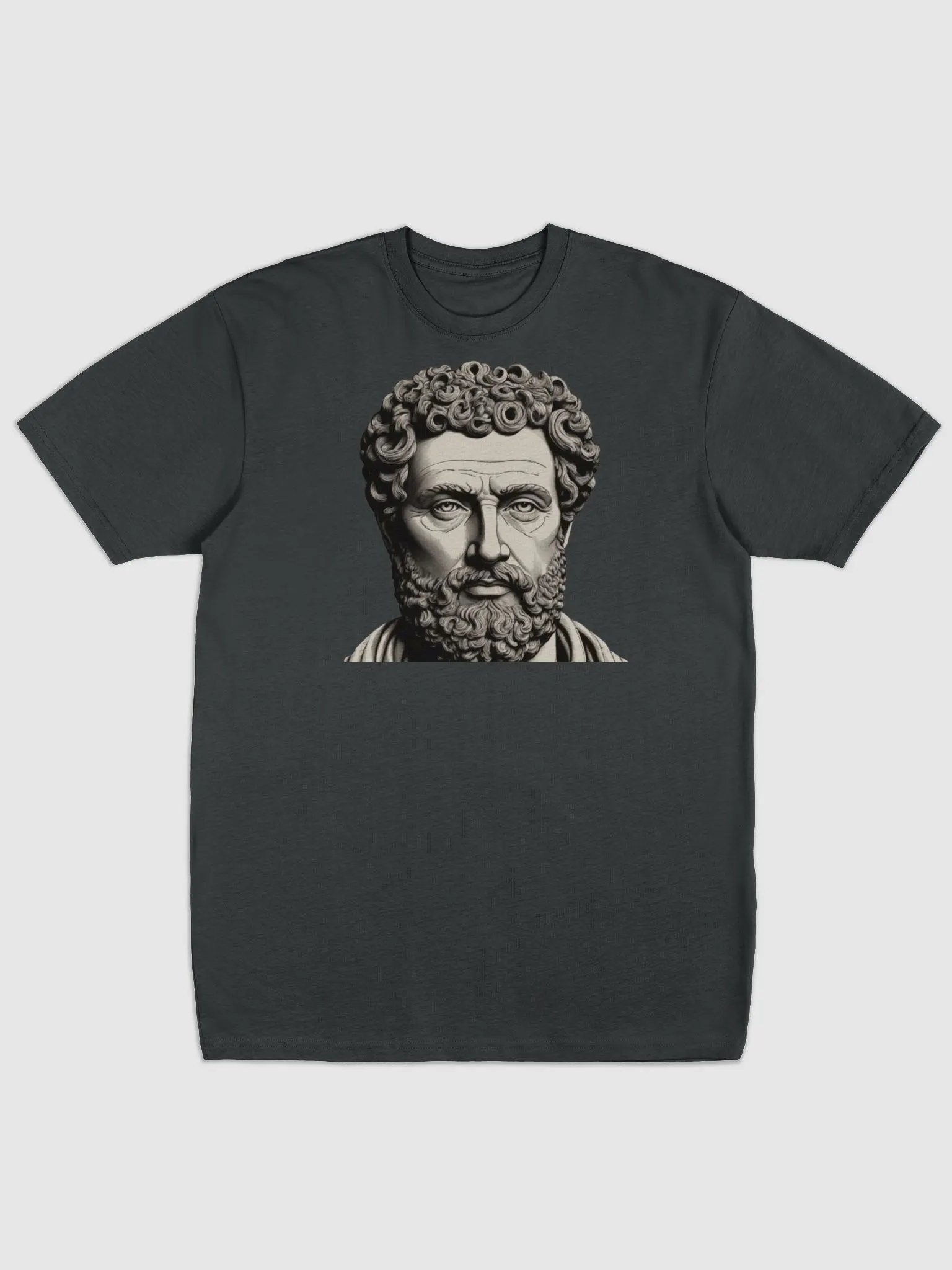t-shirt stoic product image (1)