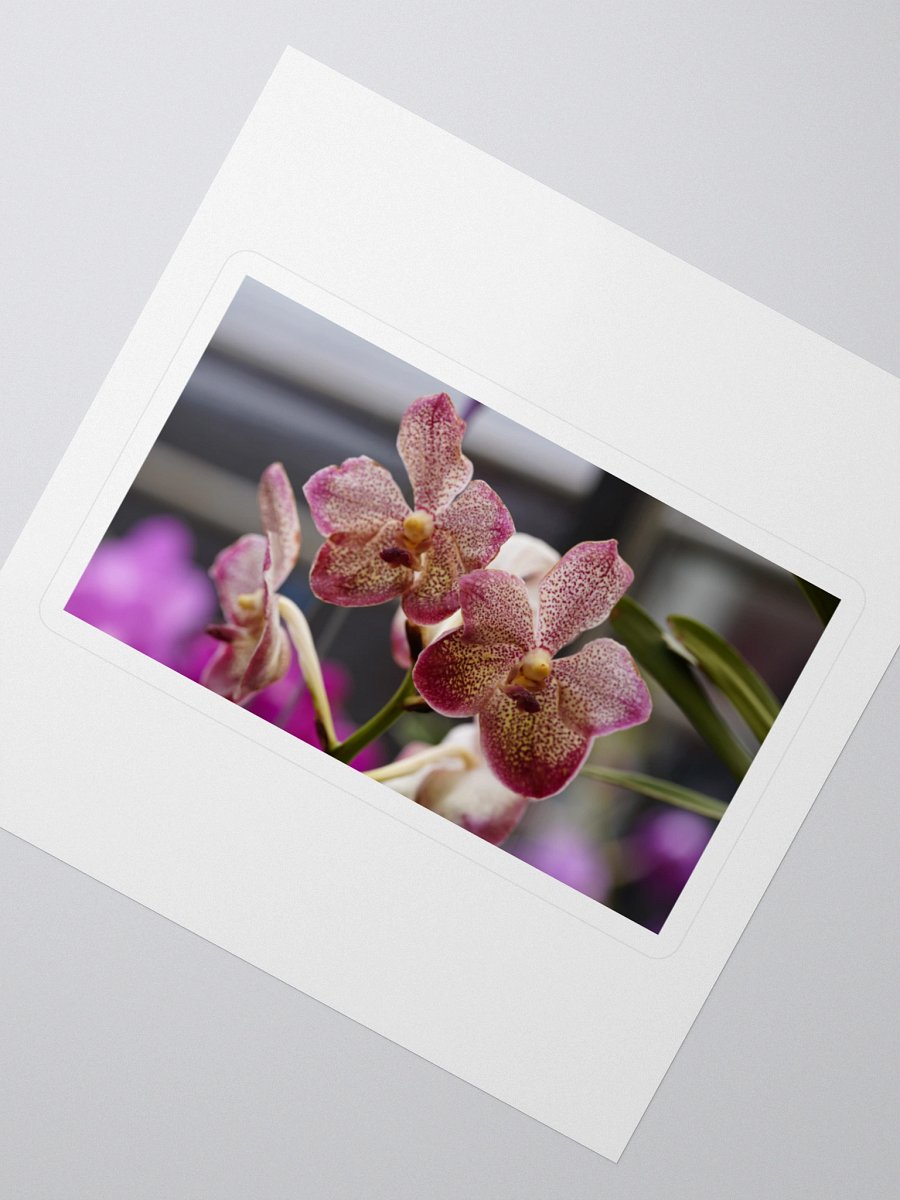 Orchid Elegance Kiss Cut Stickers product image (2)