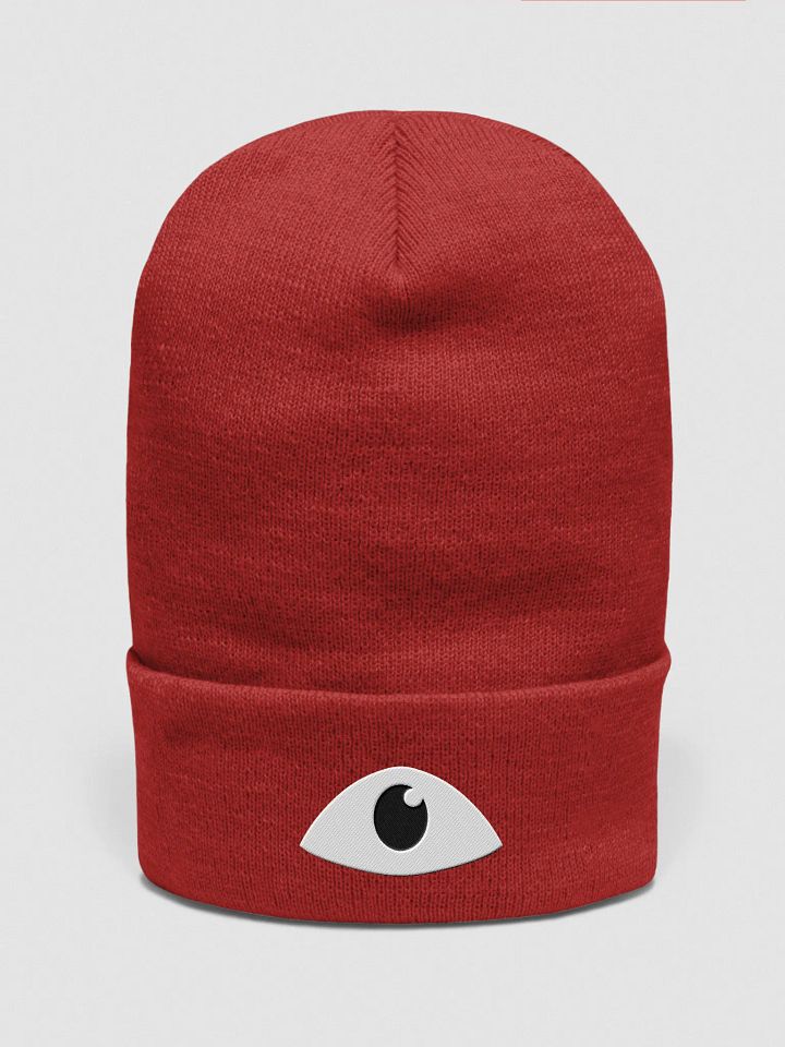 Larry Beanie product image (1)