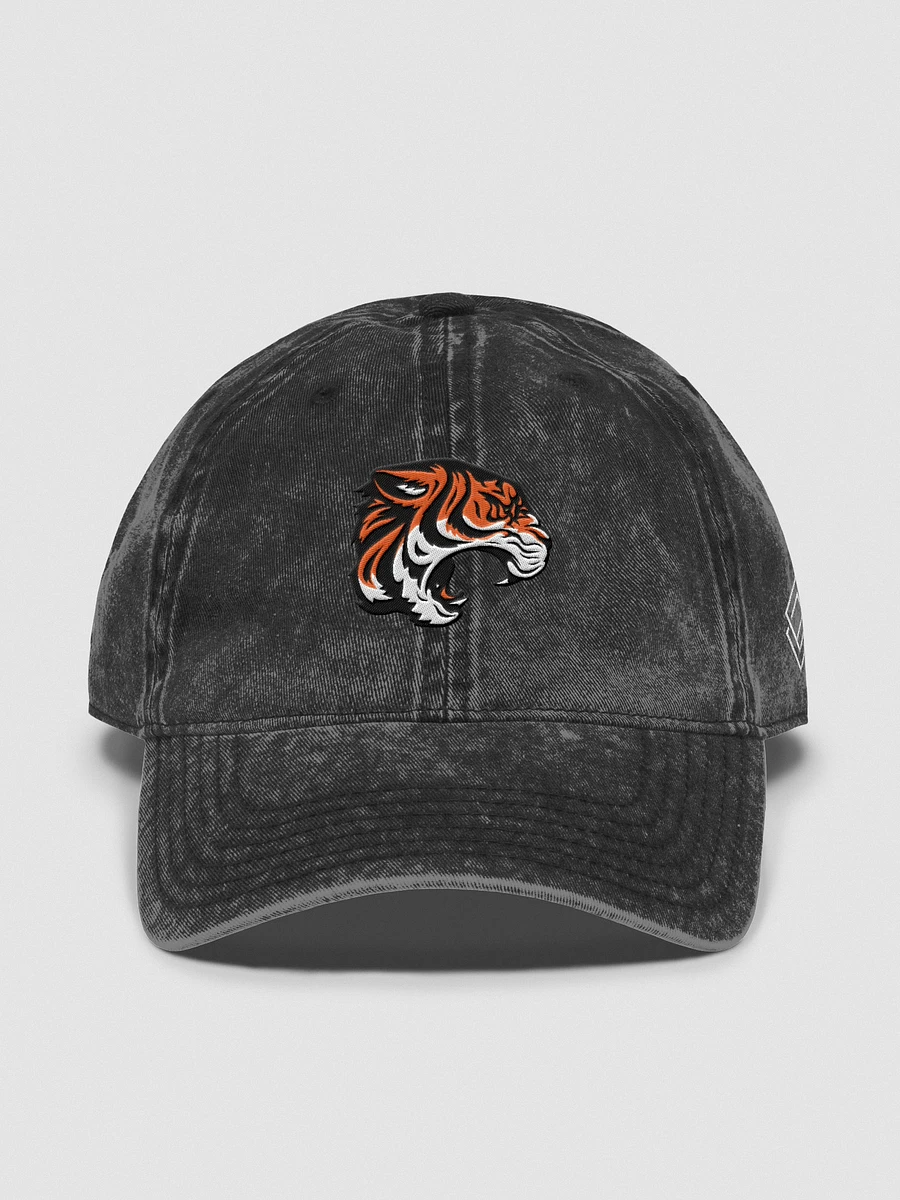 Wichita Wild Wash Dad's Hat product image (2)