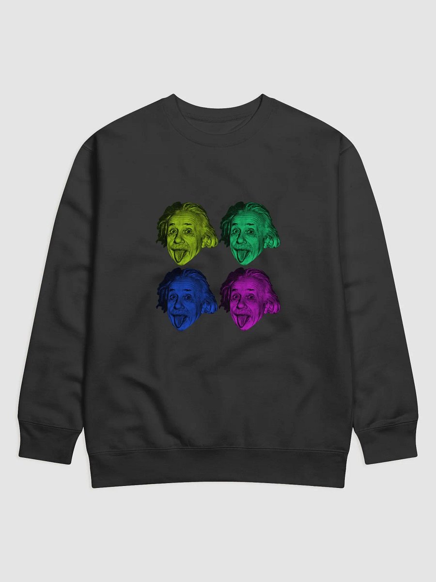 Einstein Sweatshirt product image (1)