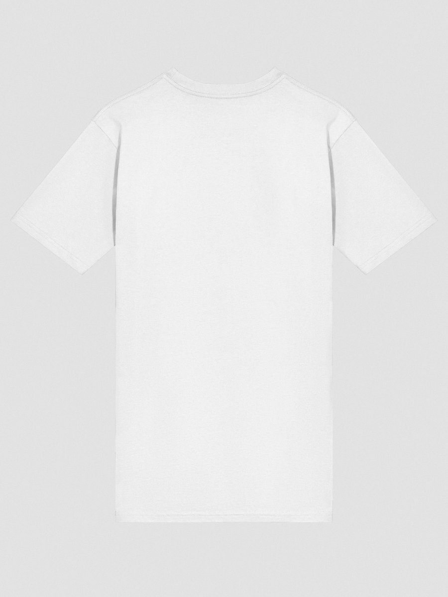 THE DELEGATE - COTTON T-SHIRT product image (4)