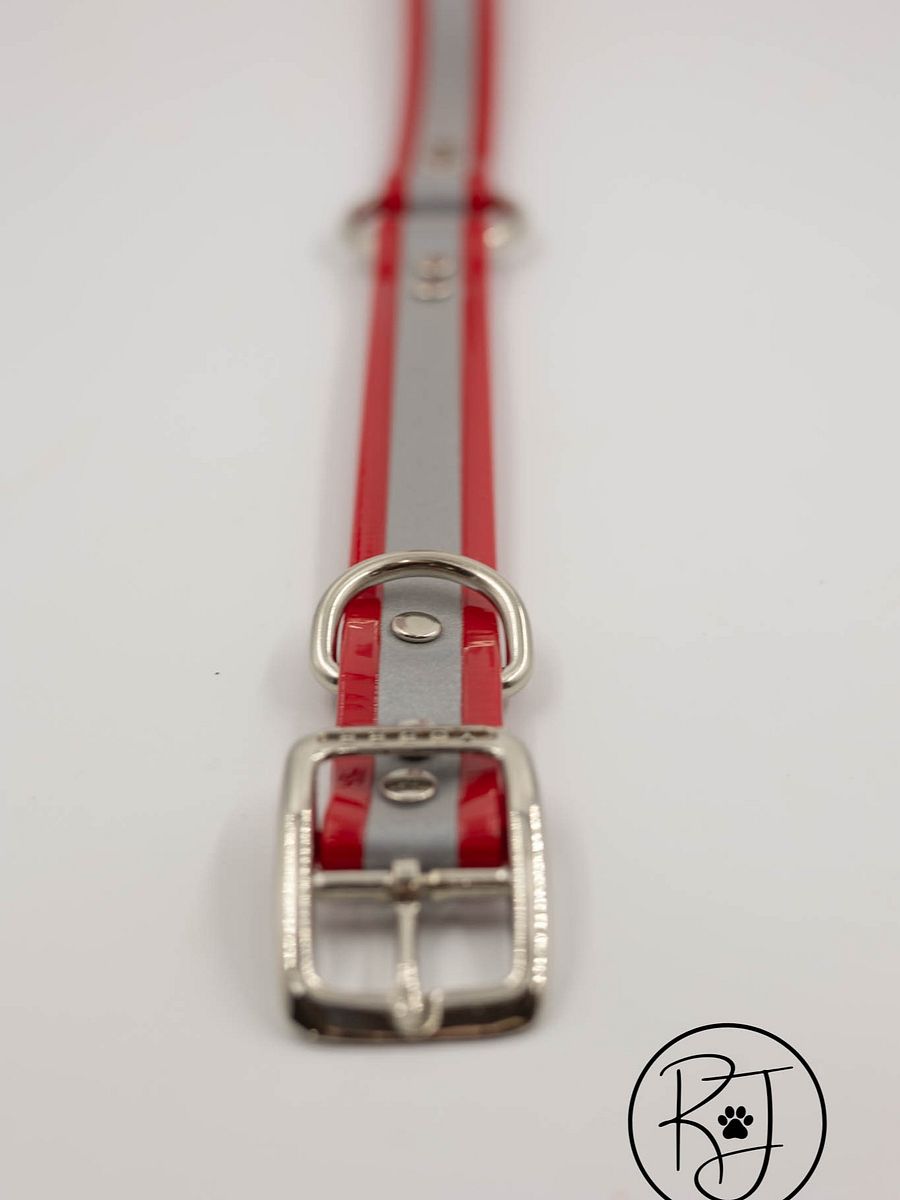 Waterproof Reflective Safety Dog Collar Bright Colors product image (3)