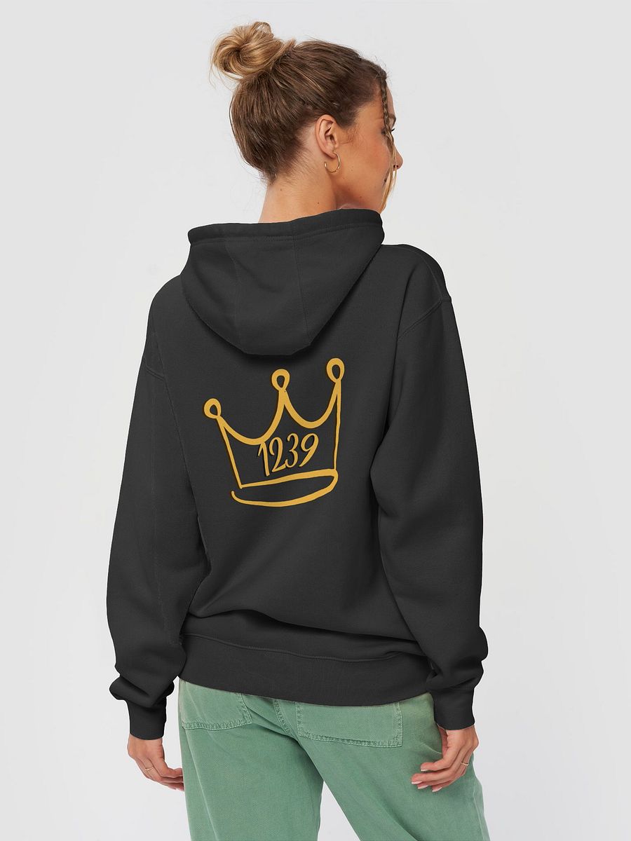 TSK1239 Unisex Premium Hoodie product image (18)