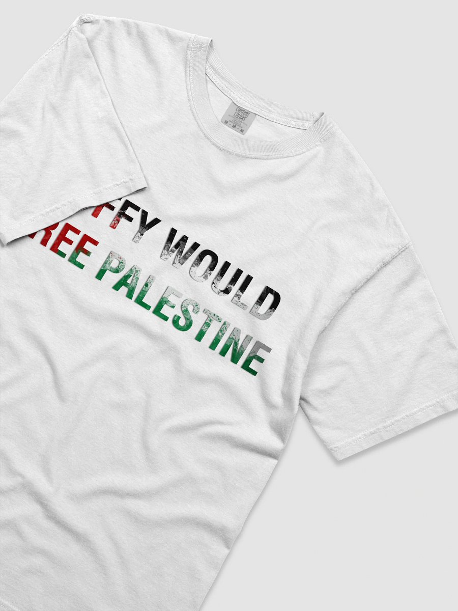 Luffy Would Free Palestine product image (5)
