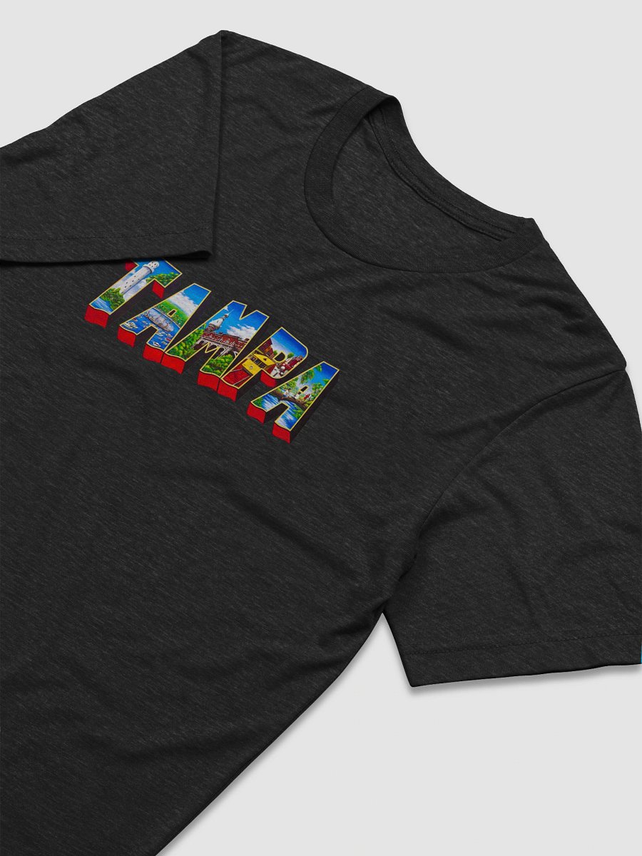 Tampa Landmarks Tri-Blend Tee product image (15)