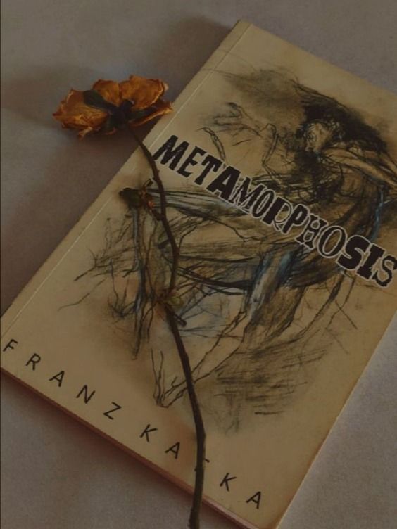 Metamorphosis - Franz Kafka [PDF] product image (1)