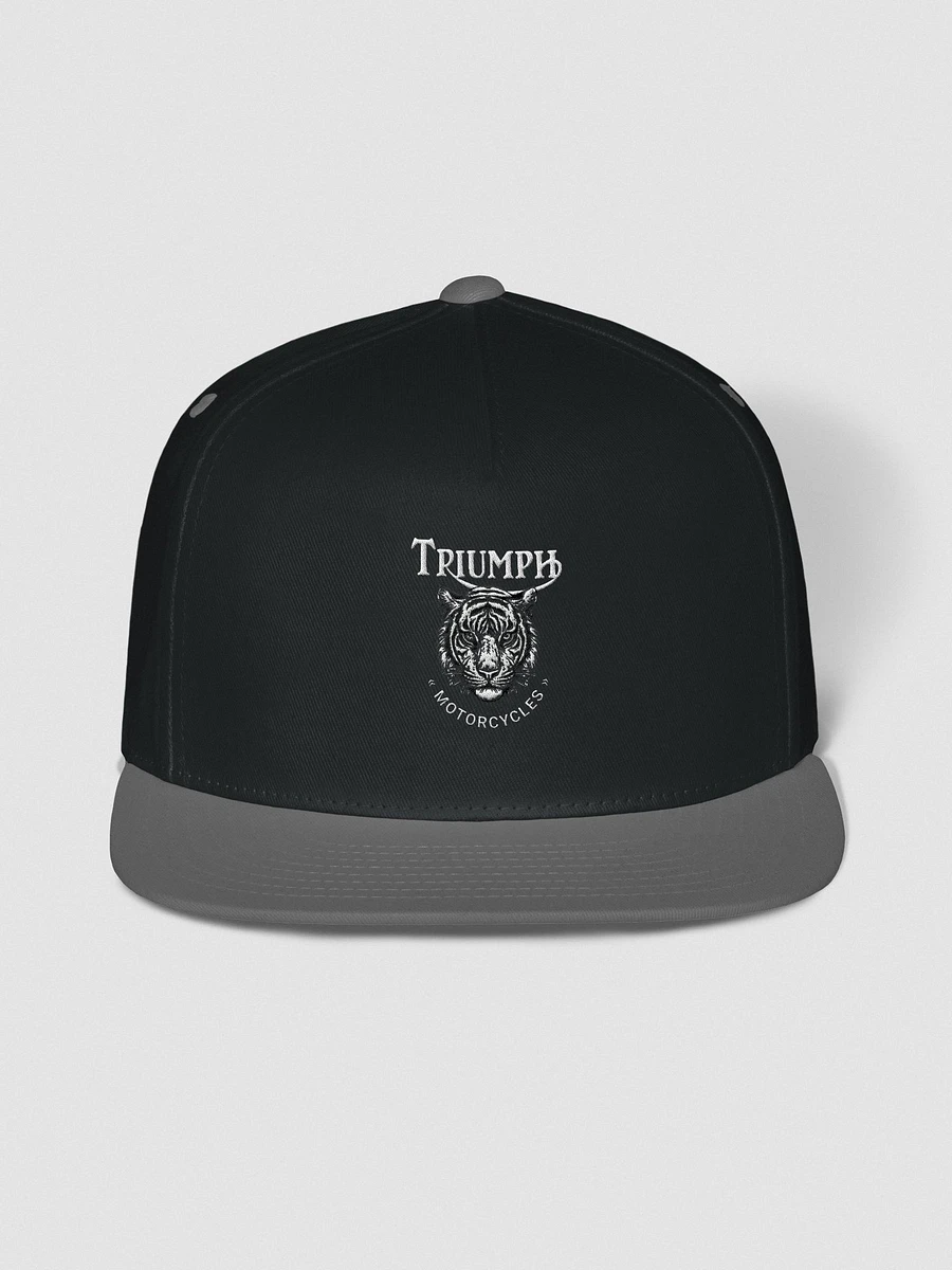 Triumph Cotton Twill Flat Bill Cap product image (1)