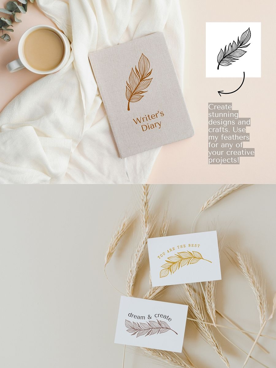 Elegant Line Art Feathers Collection product image (4)