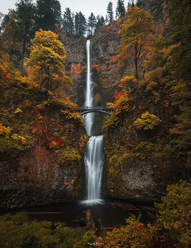 How fantastically Fall is this? 🍁🍂

We are honored for the opportunity to share the work of amazingly talented Oregon photogr...