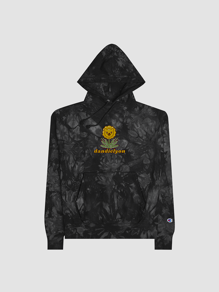 dandielyon Champion tie dye hoodie product image (2)