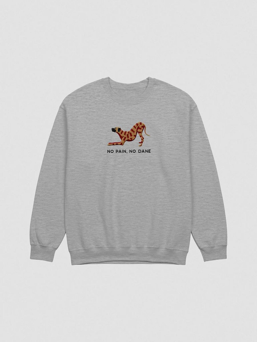 No Pain, No Dane Sweatshirt (Embroidered) of a Great Dane(Brindle) product image (4)