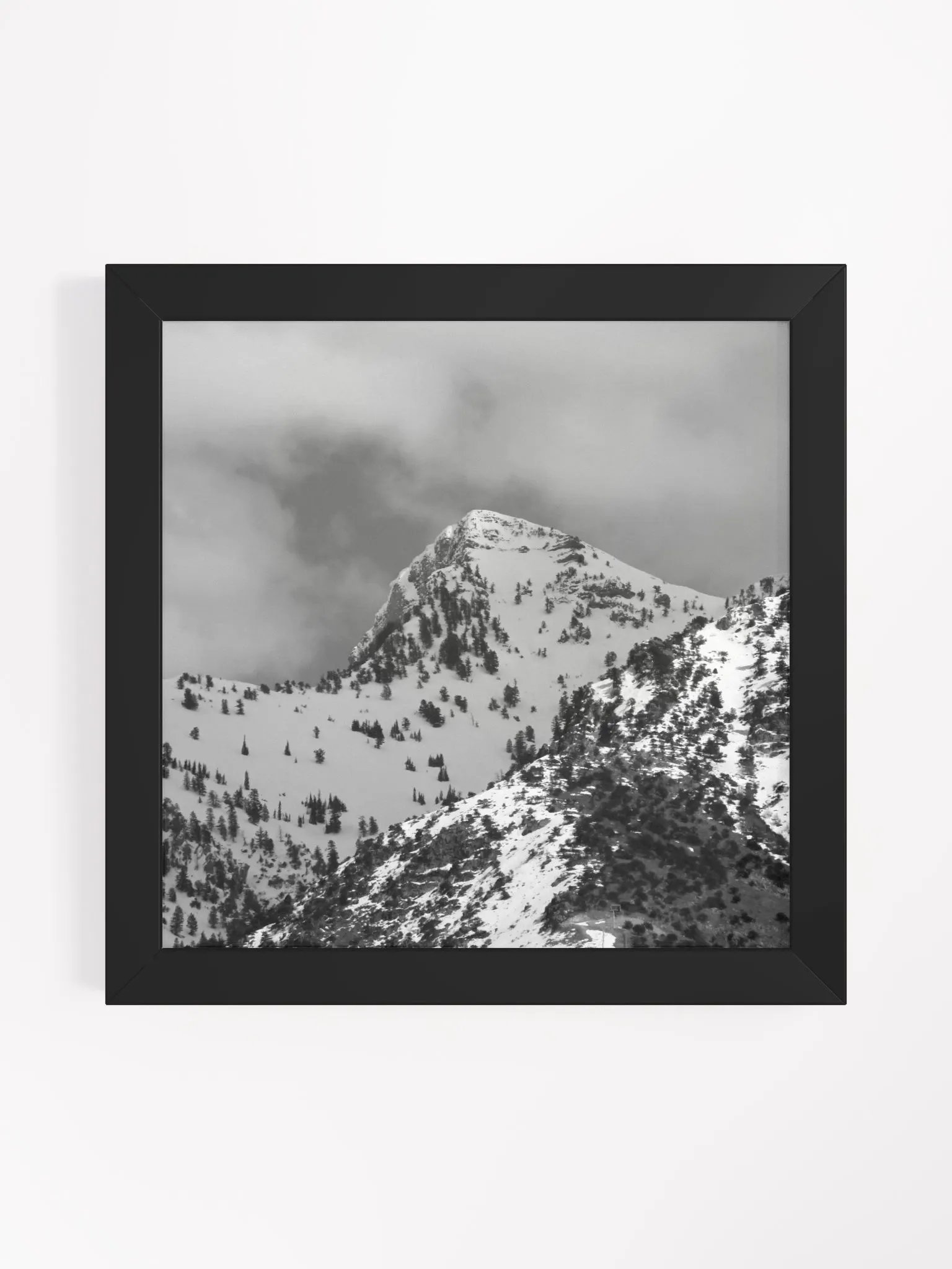 Black & White Framed High-Quality Matte Poster - Cherry Peak product image (1)