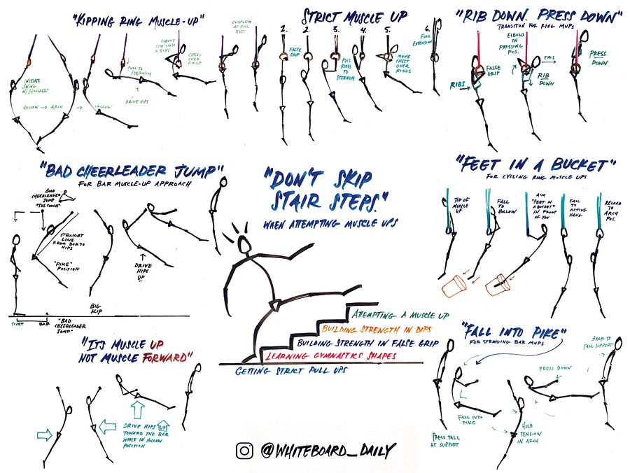 Digital Poster: Muscle-Up Cues - Full Color product image (1)