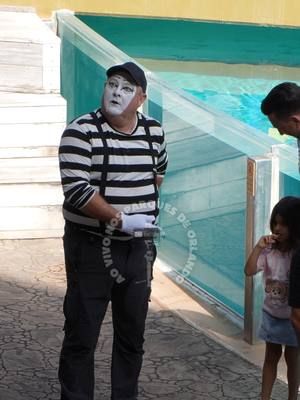 I think mime Tom didn't like it! 😡😂🤣 #tomthemime #seaworldmime #seaworldorlando#tom #tomseaworldmime