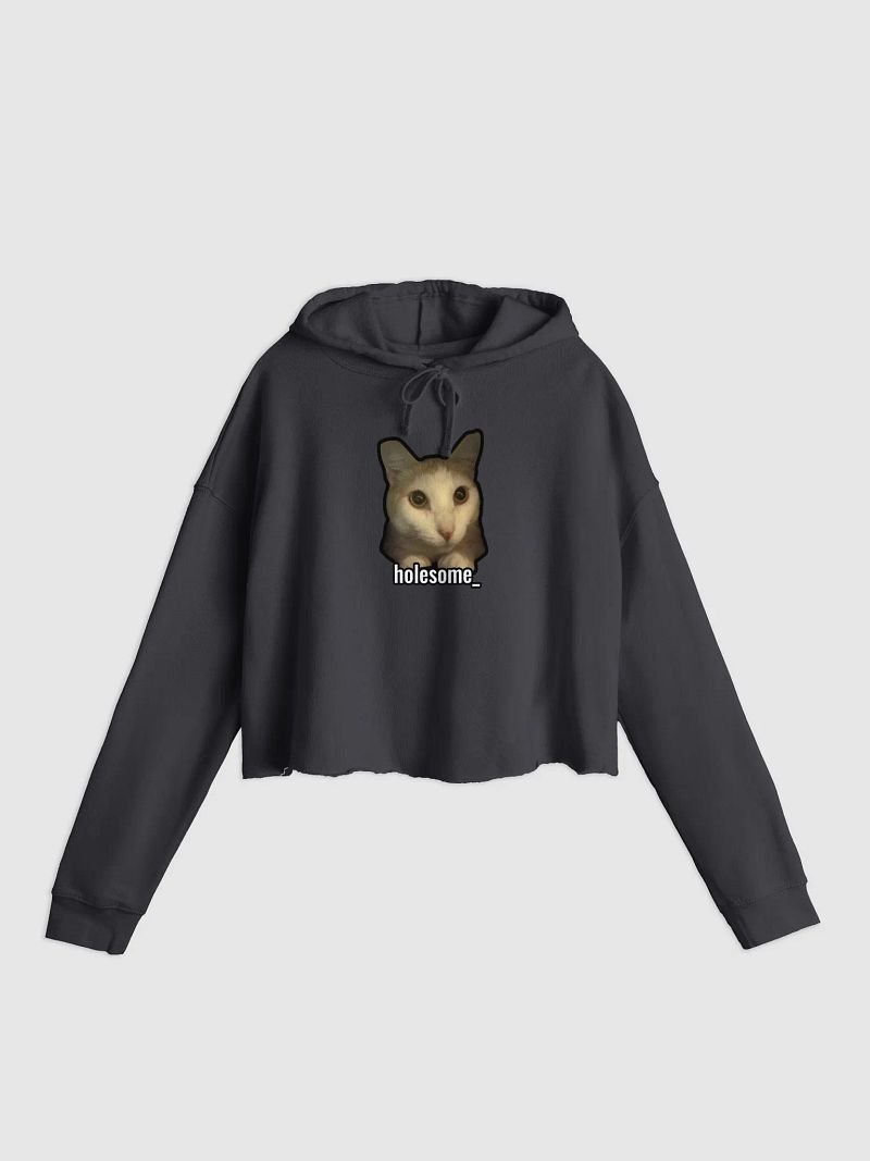 holesome Nico lightweight crop top hoodie