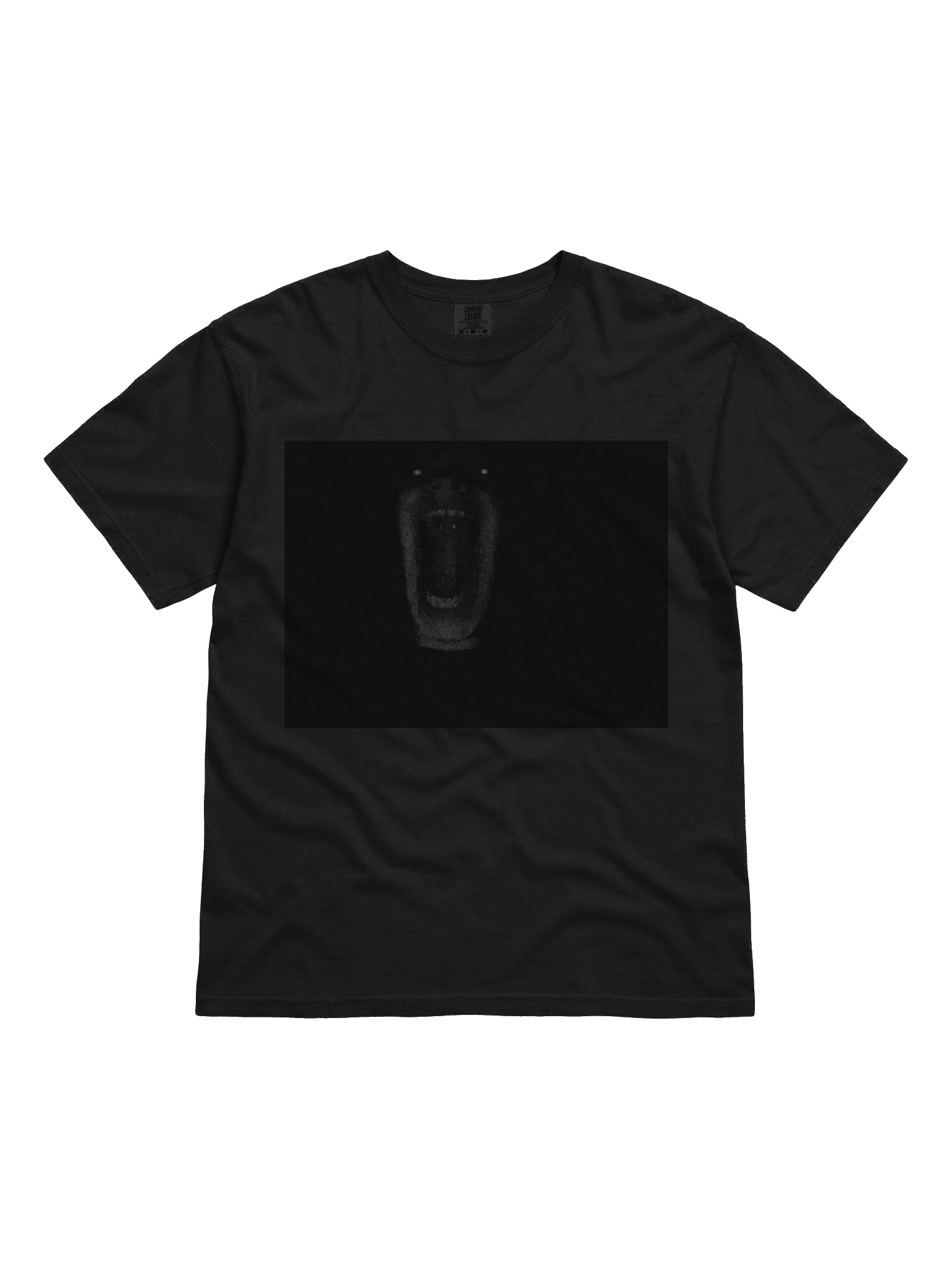 Scary Hwillis Tee product image (1)