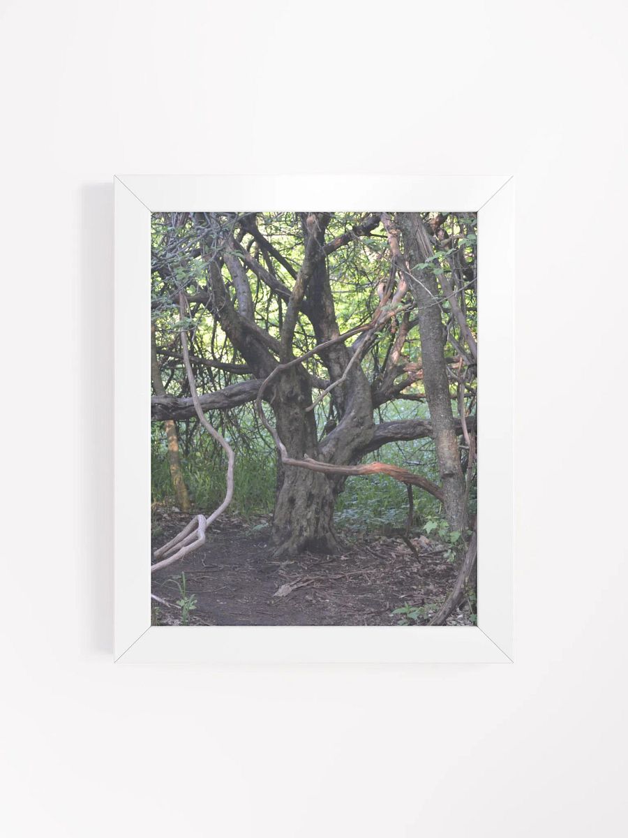 Tree of Branches High Quality Poster product image (19)