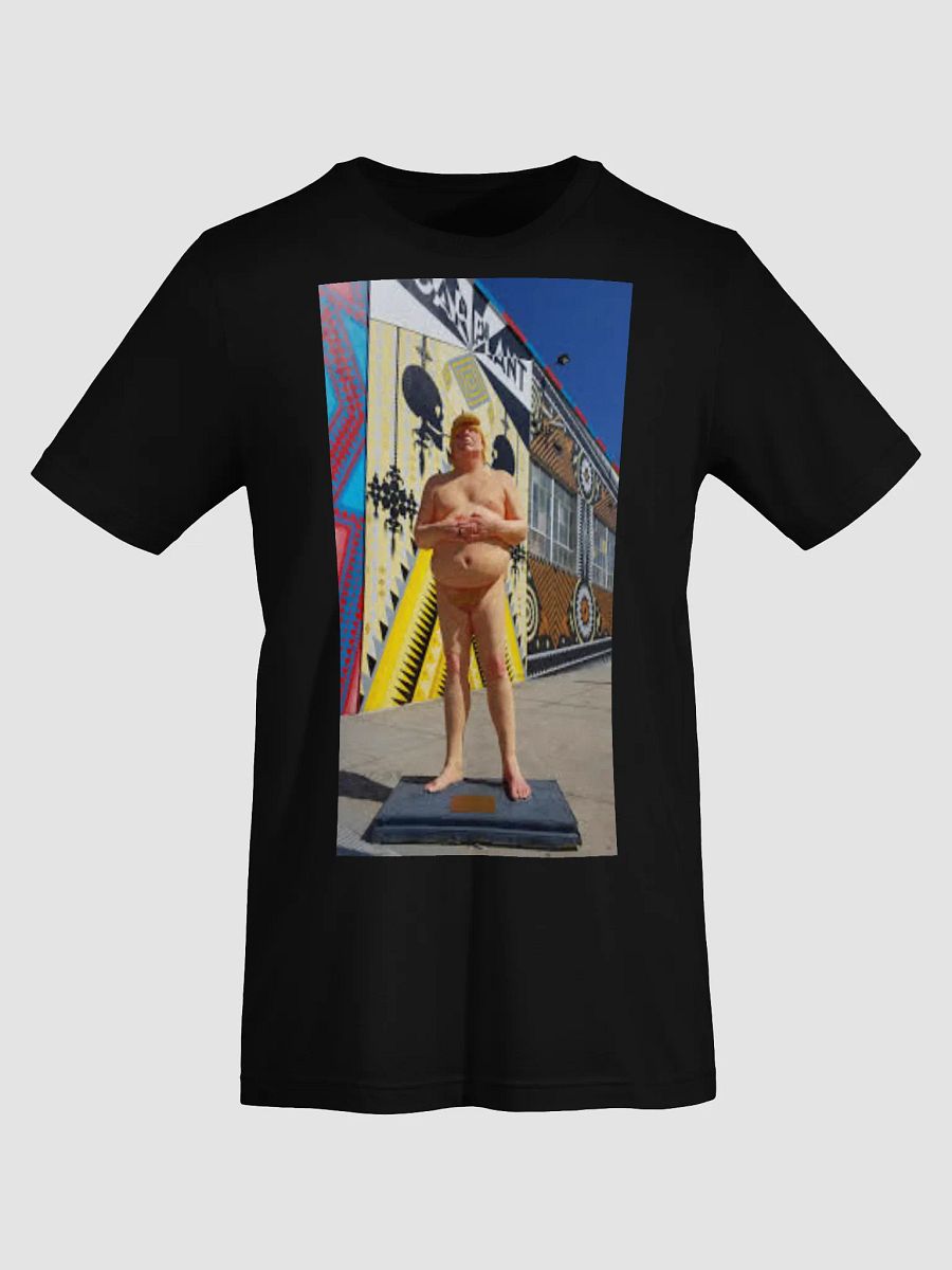 DONALD TRUMP MAKE AMERICA GREAT AGAIN product image (5)