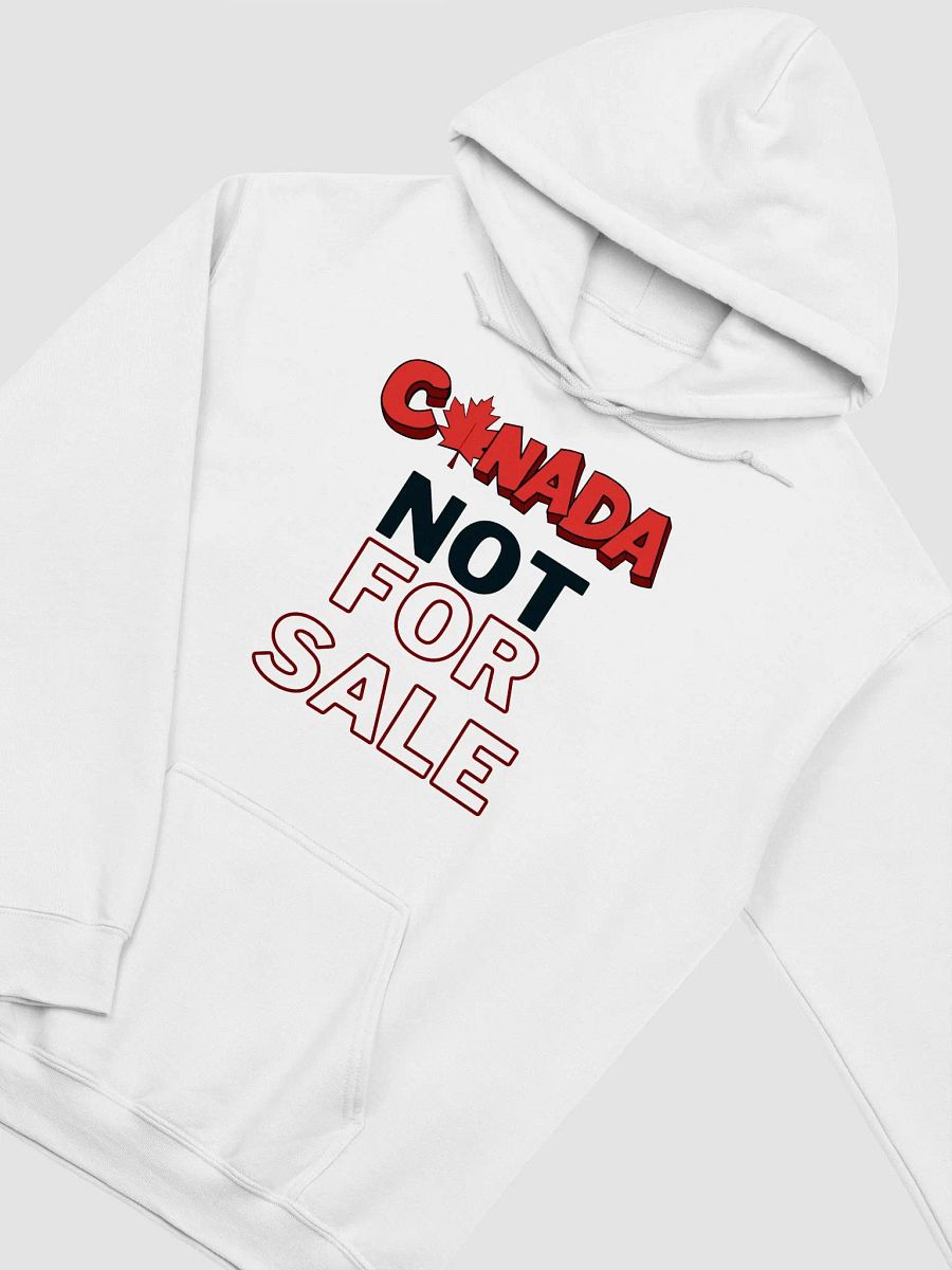 Maple Leaf Statement Hoodie product image (15)
