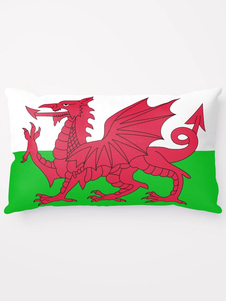 Welsh Flag Cushion product image (1)