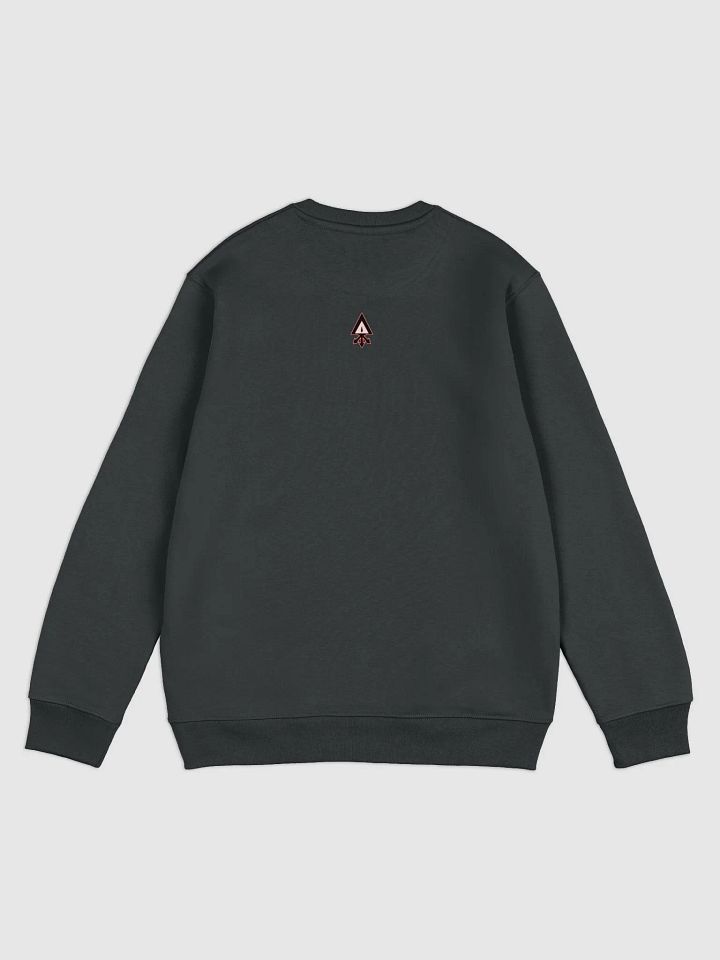 Sulfur sweatshirt product image (4)