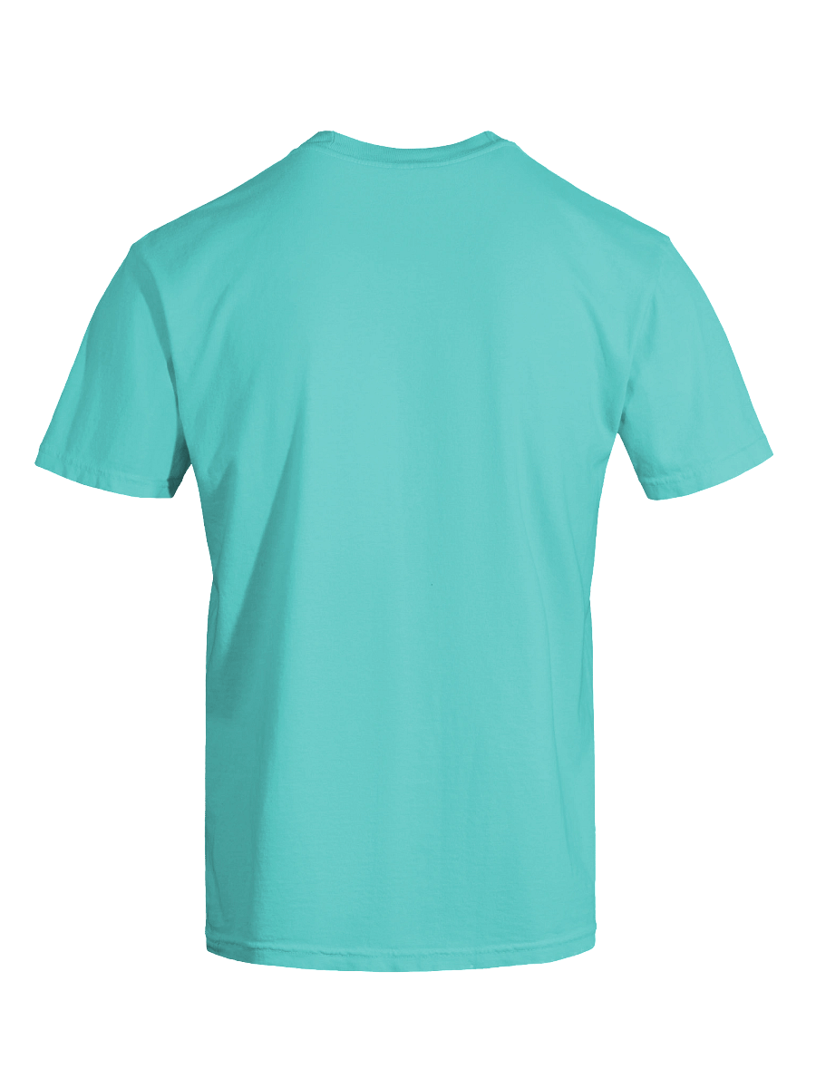 Detect Florida T Shirt product image (27)