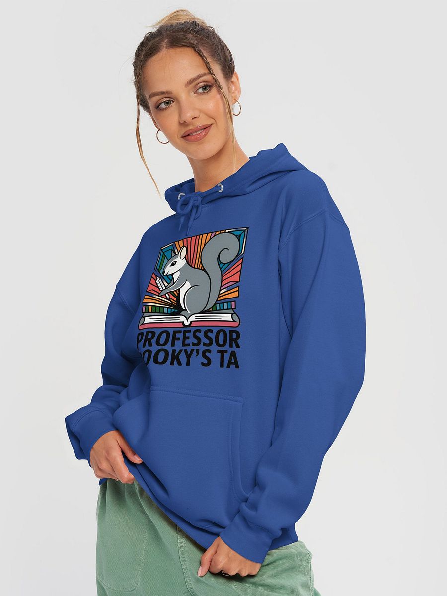 Premium, super soft Hoodie, Prpofessor Pooky'd Teacher's Assistant (TA) product image (3)
