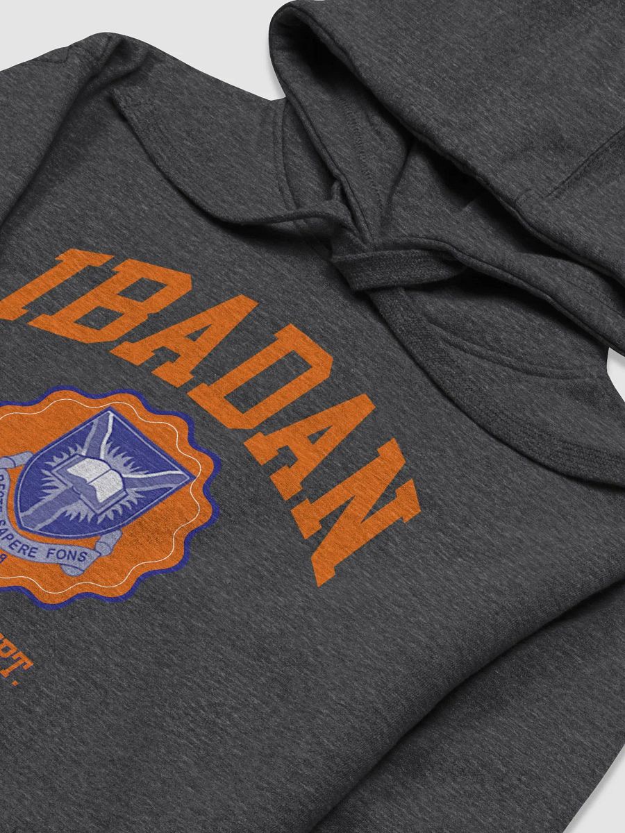 IBADAN Athletics Department Premium Hoodie product image (5)