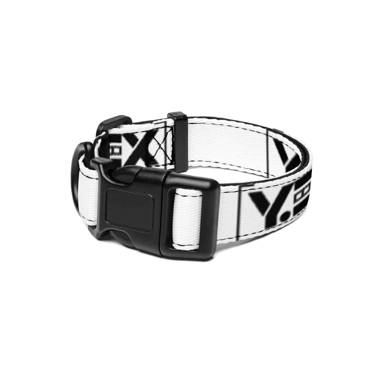 Y.EX 'pet' collar product image (1)