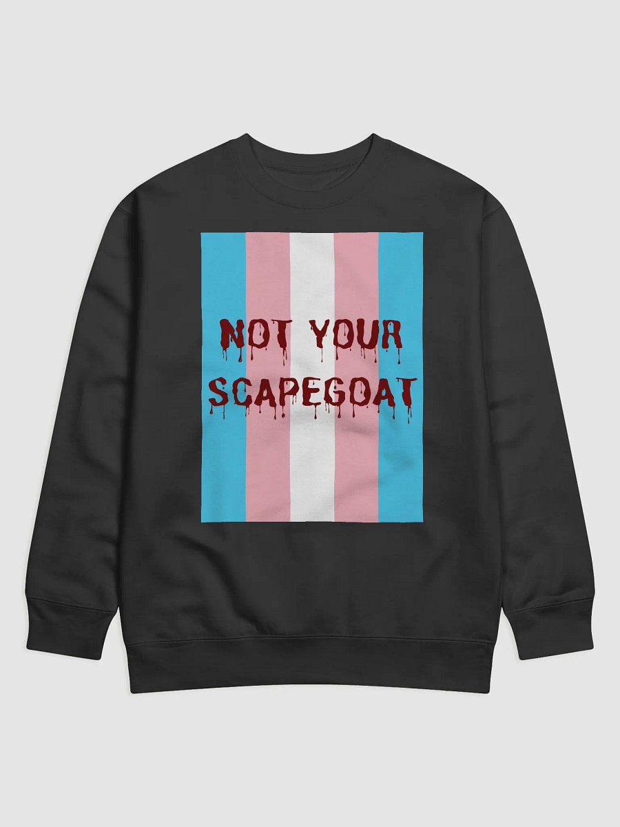 Transgender Pride "Not Your Scapegoat" Sweatshirt product image (1)