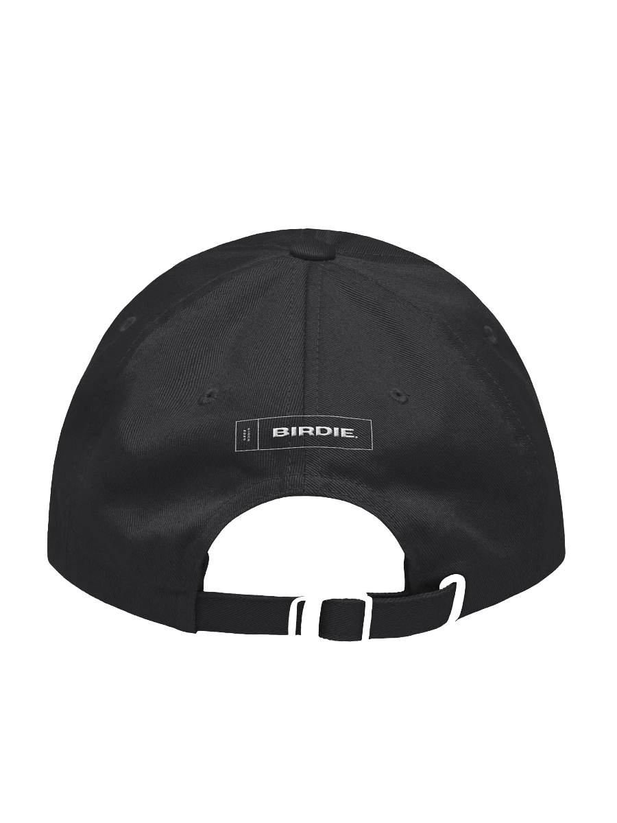 Classic Dad Hat product image (2)