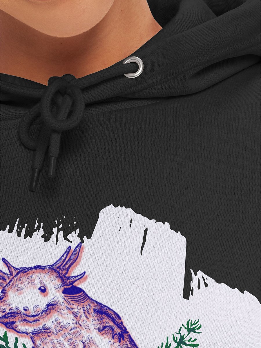 Axolotl Hoodie product image (7)