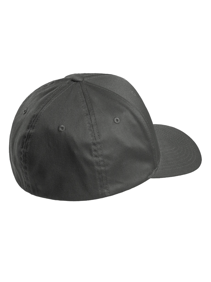 foreheadkissesforthehomies flex cap (blue) product image (3)