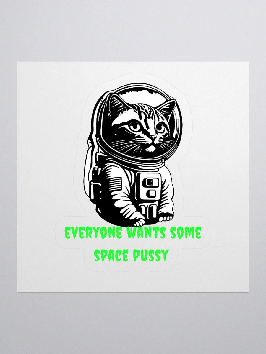 SPACE PUSSY STICKER product image (1)