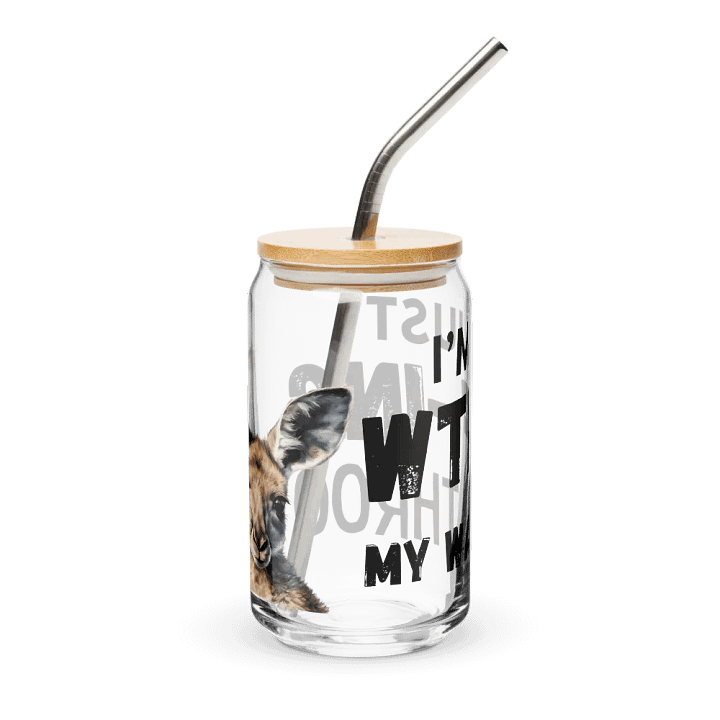 WTF-ING MY WAY THROO LIFE 2 IN 1 GLASS & TUMBLER product image (2)